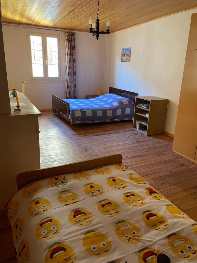 A La Petite Maison De Village * Sabarat